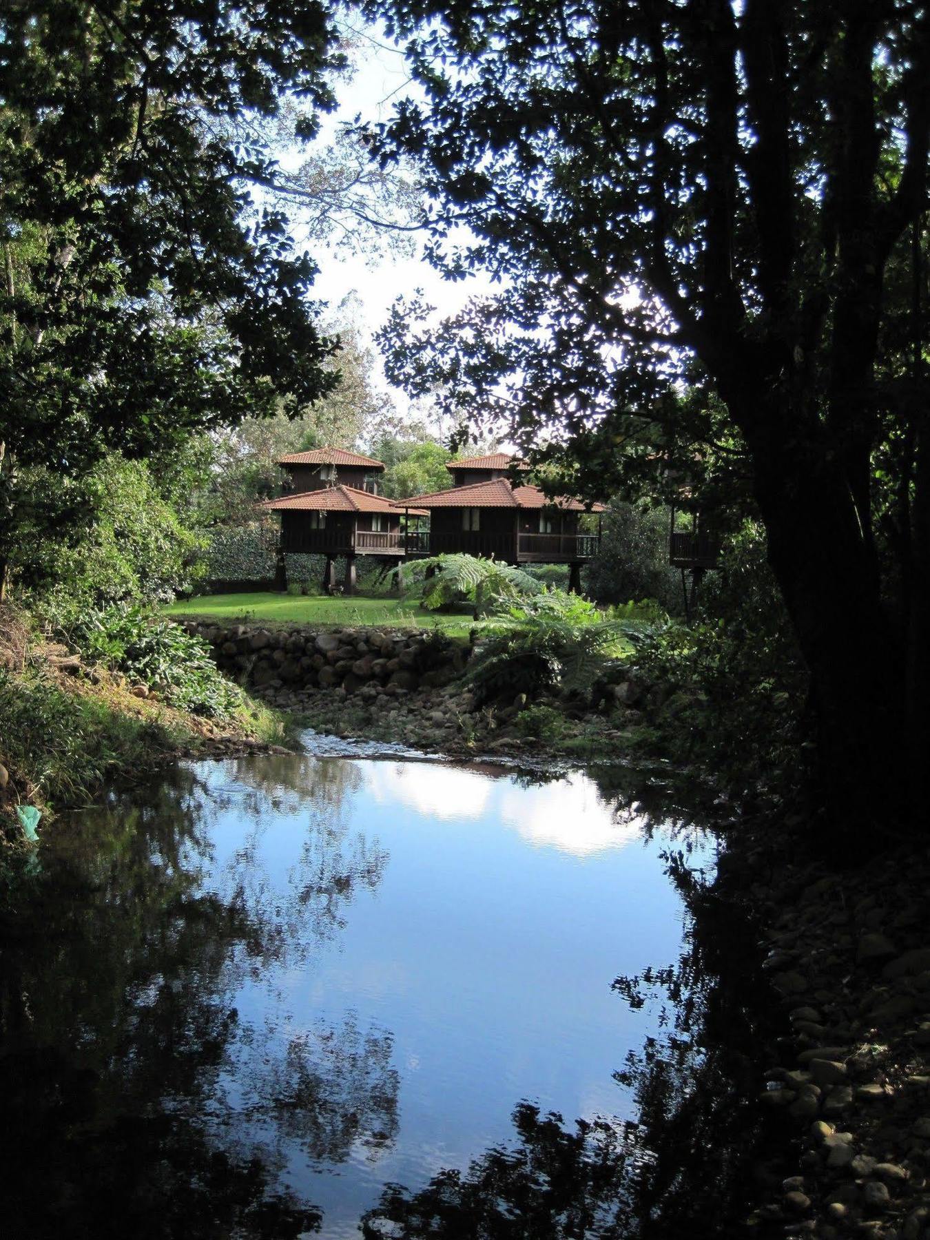 Quinta Das Eiras Santo Antonio da Serra Exterior photo